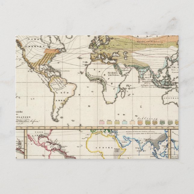 Carte Postale plantes cultivés les plus importants Districts (Devant)