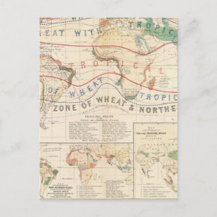 Carte Postale Plantes de distribution