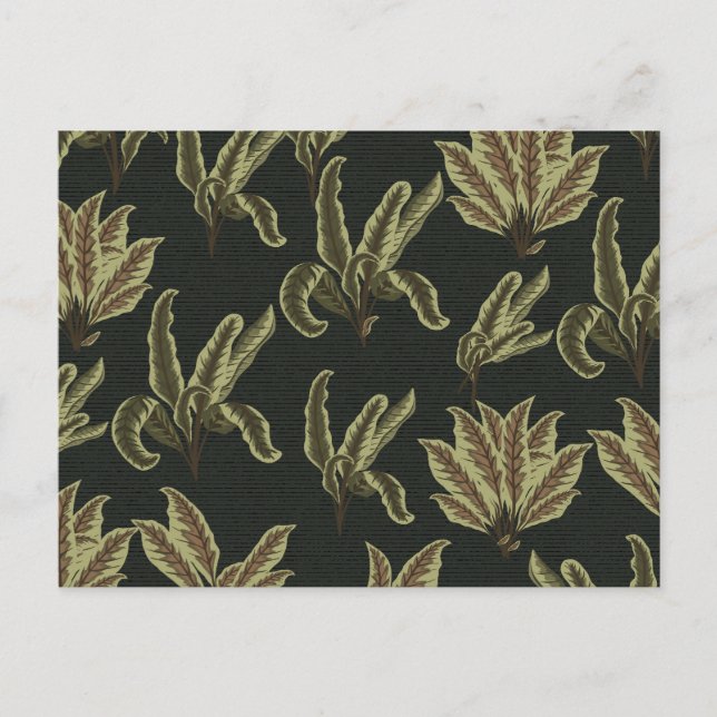 Carte Postale Plantes de jardin vintage en pot (Devant)