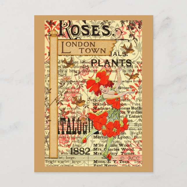 Carte Postale Plantes de Londres (Devant)