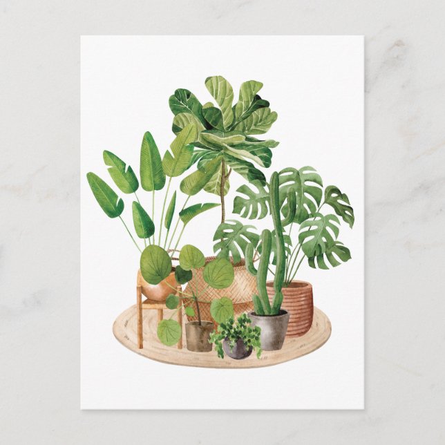 Carte Postale Plantes d'intérieur à l'aquarelle (Devant)