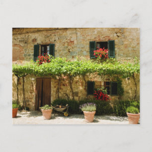 Carte Postale Plantes en pots devant une maison, Piazza Roma,