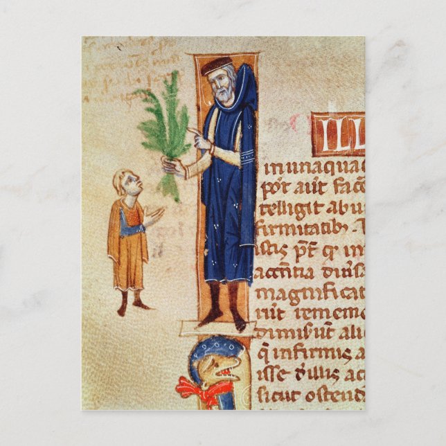 Carte Postale Plantes médicinal (Devant)