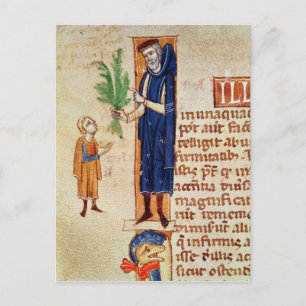 Carte Postale Plantes médicinal