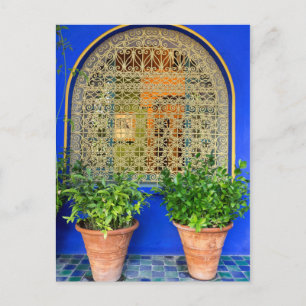 Carte Postale Plantes Pointés Au Jardin