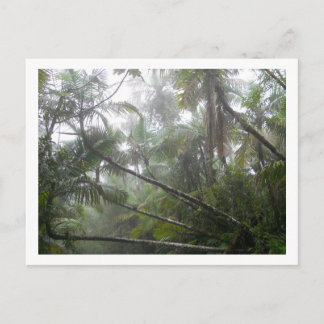 Carte Postale Plantes tropicaux de la forêt tropicale nationale