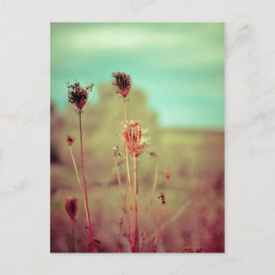 Carte Postale plantes vintages