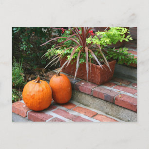 Carte Postale planteur citrouille en briques pas automne hallowe