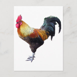 Carte Postale Plaque de coq
