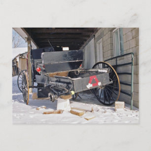 Carte postale plate Amish