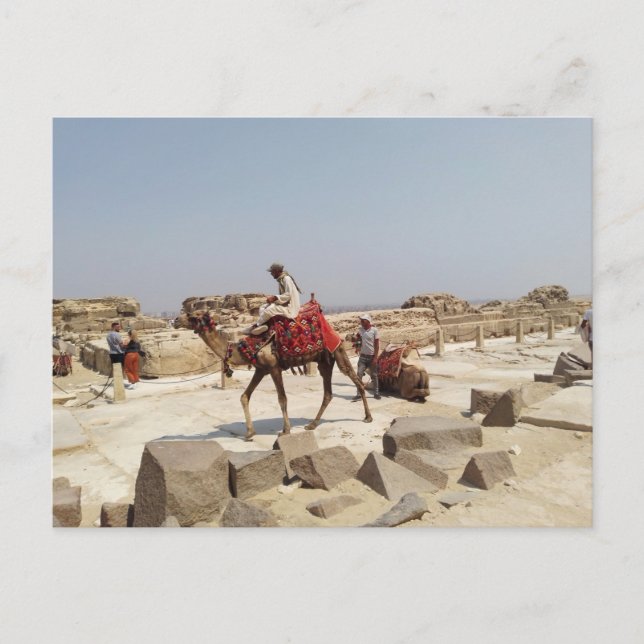 Carte Postale Plateau de Gizeh près des pyramides (Devant)