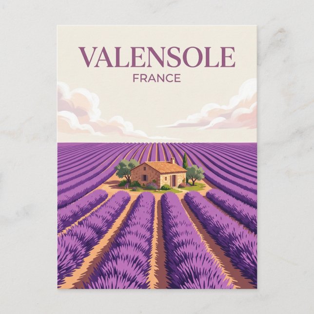 Carte Postale Plateau de Valensole France (Devant)