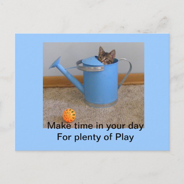 Carte Postale Play kitty Postcard (Devant)