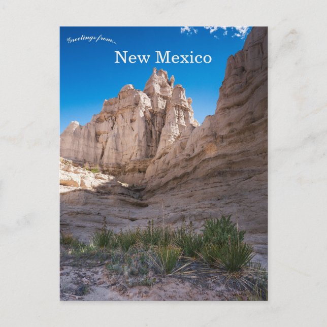 Carte Postale Plaza Blanca New Mexico (Devant)