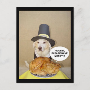 CARTE POSTALE PLEADING TURKEY