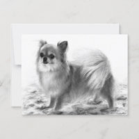 Plein Corps Chihuahua Main Peint Artwork