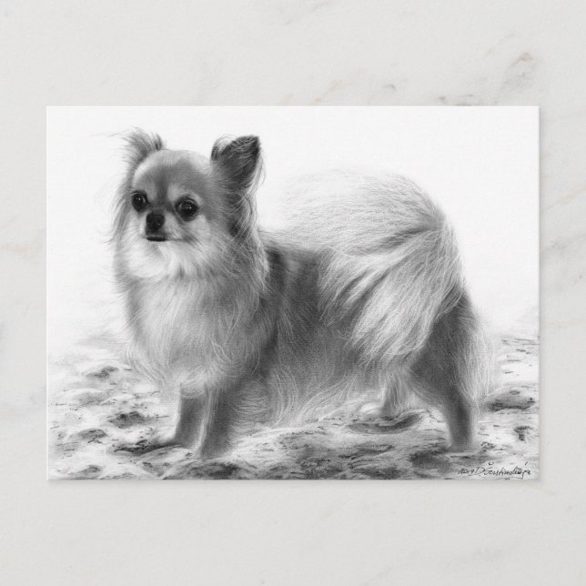Carte Postale Plein Corps Chihuahua Main Peint Artwork (Devant)