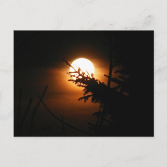 Carte postale Pleine lune (Devant)