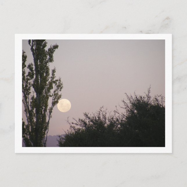 Carte Postale pleine lune (Devant)