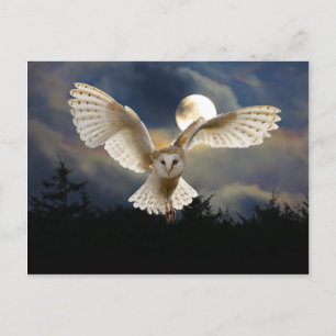 Carte Postale "Pleine lune"