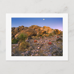 Carte Postale " Pleine lune Au-Dessus De L'Anneau De Feu"