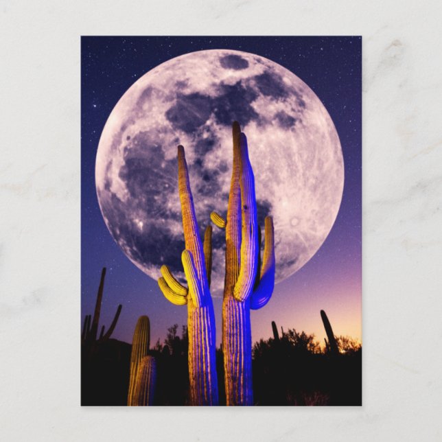 Carte Postale Pleine Lune Au-Dessus Du Cactus Saguaro (Devant)