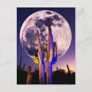 Carte Postale Pleine Lune Au-Dessus Du Cactus Saguaro