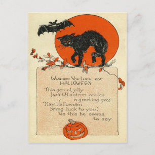 Carte Postale Pleine lune de chaume de chat noir
