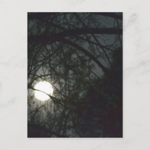 Carte Postale Pleine lune d'équinoxe de printemps