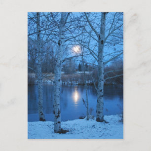 Carte Postale Pleine lune d'hiver sur l'étang