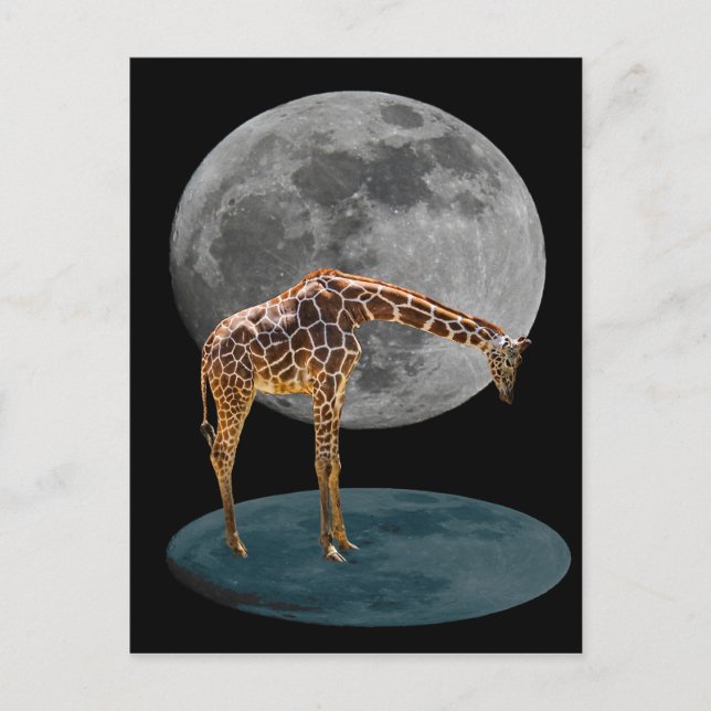 CARTE POSTALE PLEINE LUNE GIRAFFE (Devant)