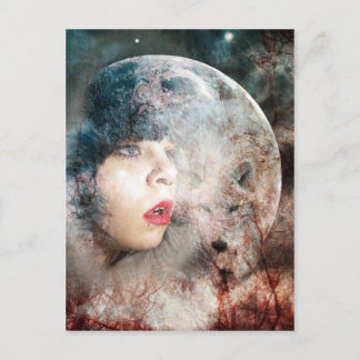 Carte Postale Pleine Lune Wolfs