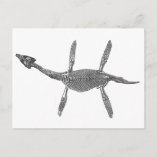Carte Postale Plesiosaurus Squelette Antique Imprimer