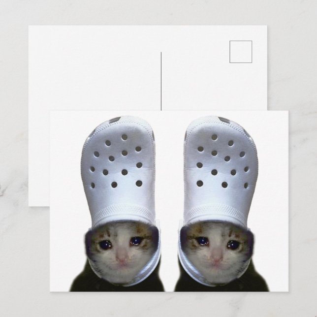 Carte postale Pleure Chat Croc Casquette mème (Devant / Derrière)