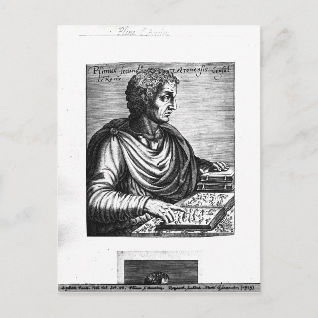 Carte Postale Pliny the Elder (Devant)