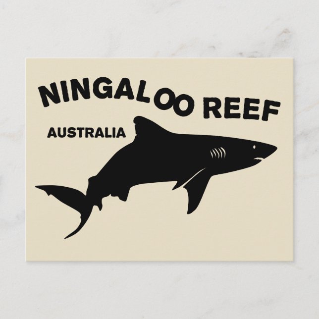 Carte Postale Plongée De Requin En Australie, Ningaloo Reef (Devant)