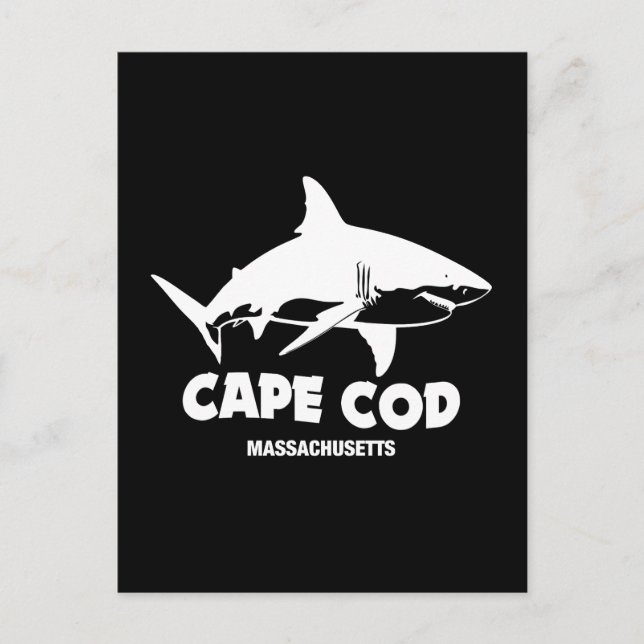 Carte Postale Plongée sous-marine avec de grands requins blancs  (Devant)