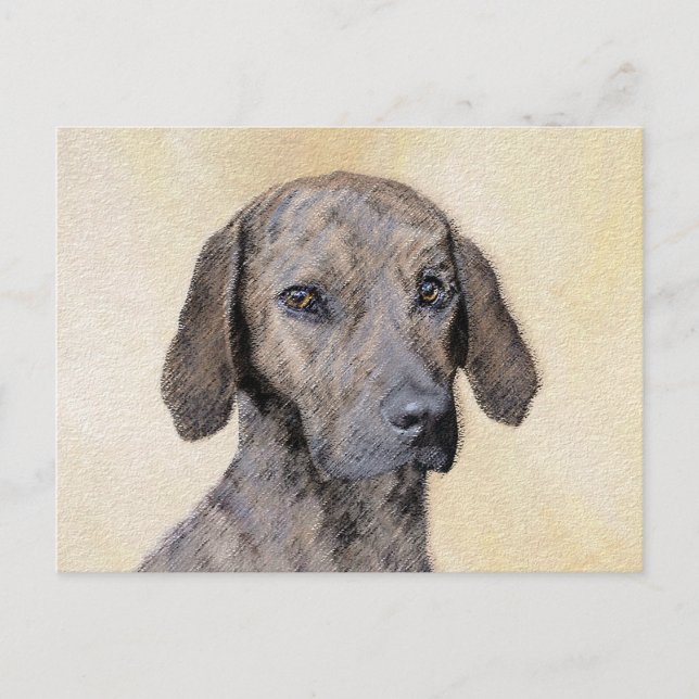 Carte Postale Plott Peinture - Cute Original Chien Art (Devant)
