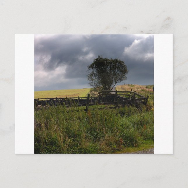 Carte Postale Pluie Bientôt (Devant)