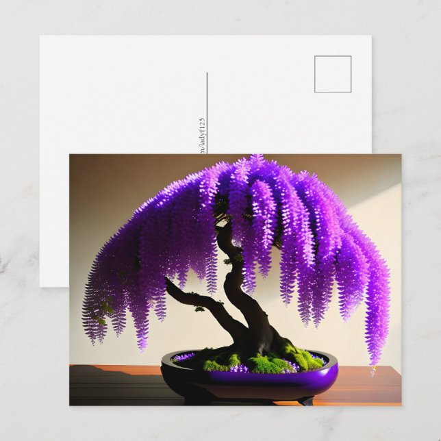 Carte Postale Pluie violette Wisteria Bonsai, poste (Devant / Derrière)