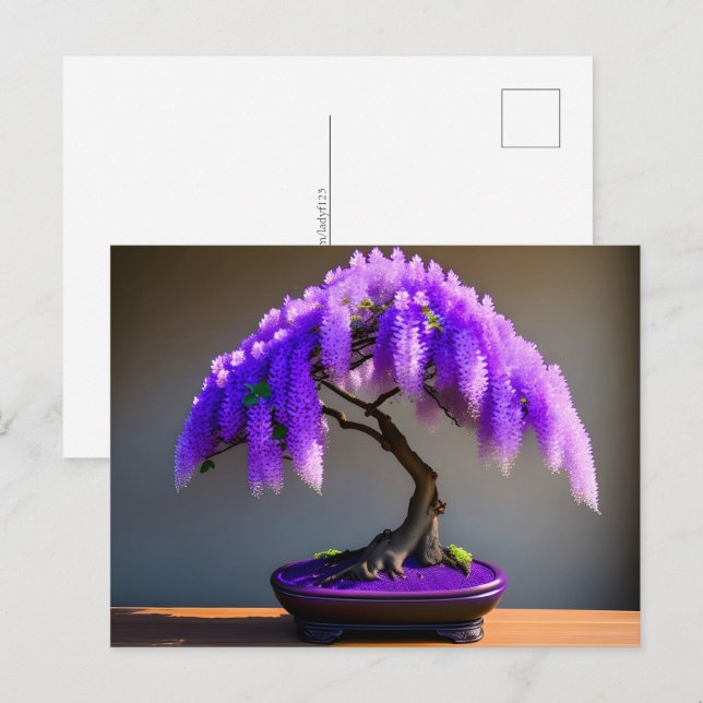 Carte Postale Pluie violette Wisteria Bonsai, poste (Devant / Derrière)
