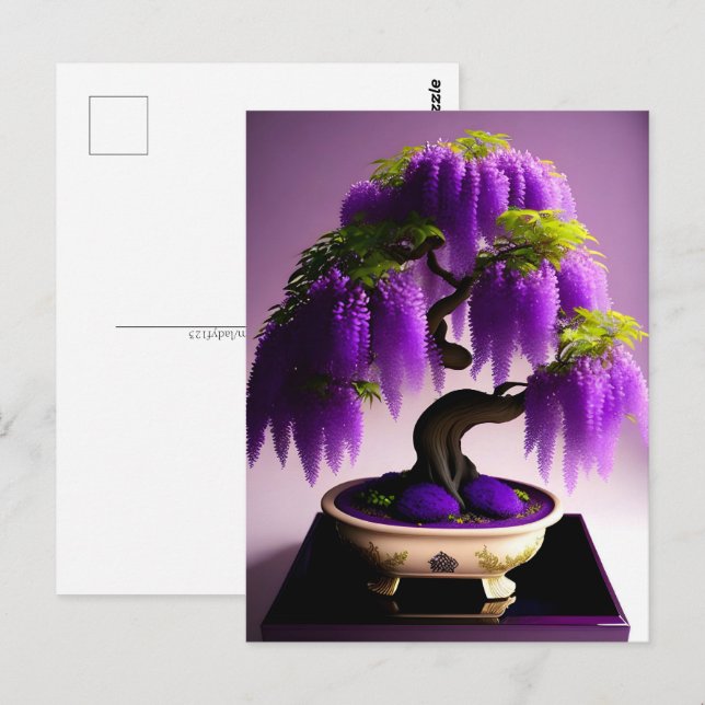 Carte Postale Pluie violette Wisteria Bonsai, poste (Devant / Derrière)