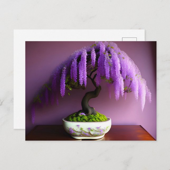 Carte Postale Pluie violette Wisteria Bonsai, poste (Devant / Derrière)