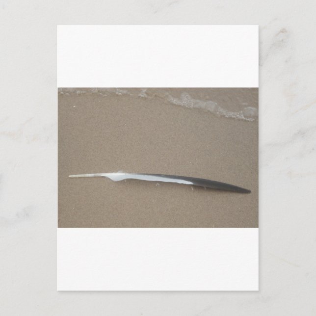 Carte Postale Plume (Devant)