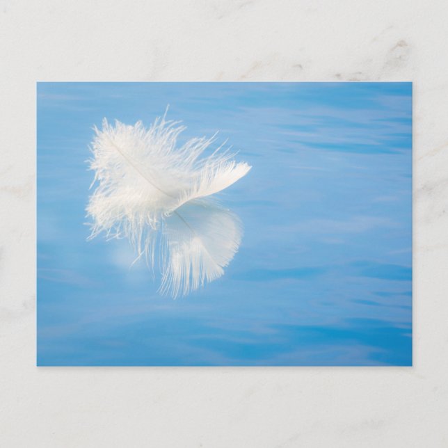 Carte Postale Plume blanc se reflète sur l'eau | Seabeck, WA (Devant)