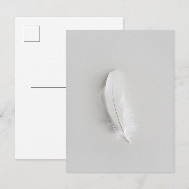 Carte Postale Plume blanche minimaliste (Devant / Derrière)