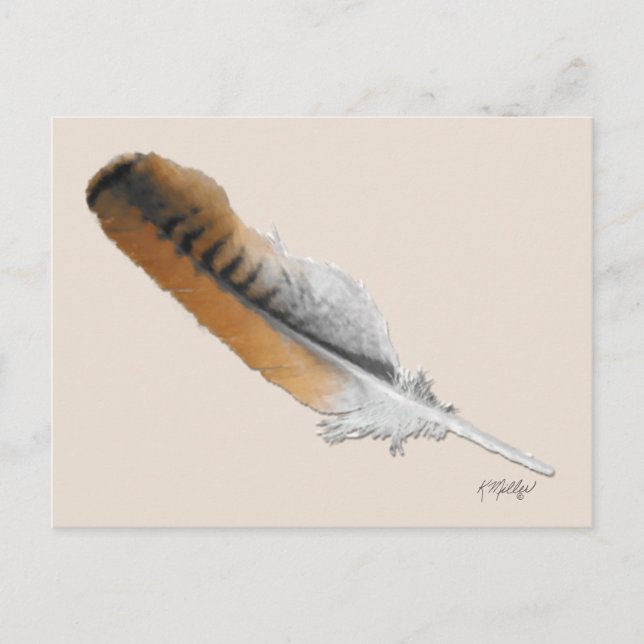 Carte Postale plume de Buse à queue rousse (Devant)