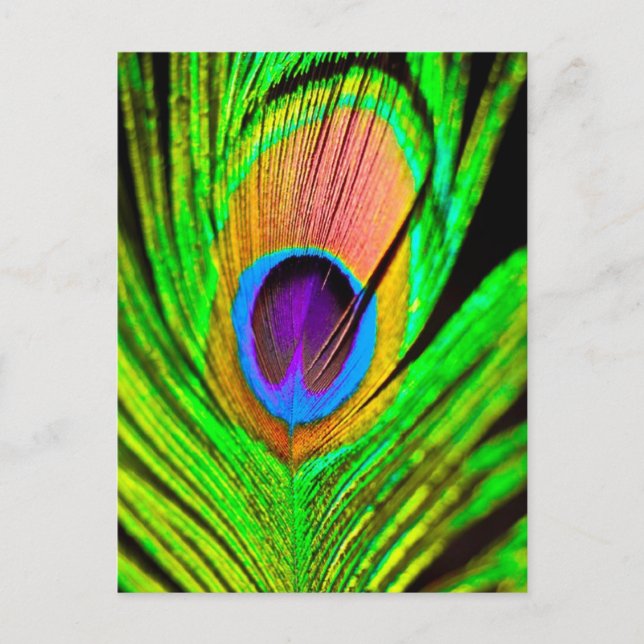 Carte Postale Plume de paon aux couleurs néon (Devant)