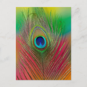 Carte Postale Plume de paon en gros plan
