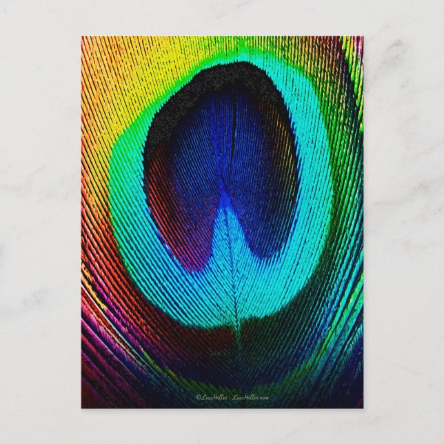Carte Postale Plume de paon vibrant (Devant)